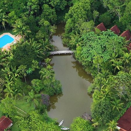 Pousada Salve Floresta Hotel Tapirai Ngoại thất bức ảnh