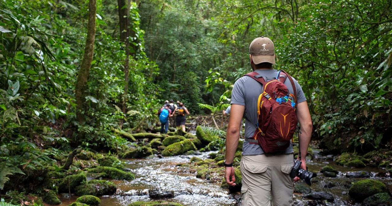 Pousada Salve Floresta Hotel Tapirai Ngoại thất bức ảnh