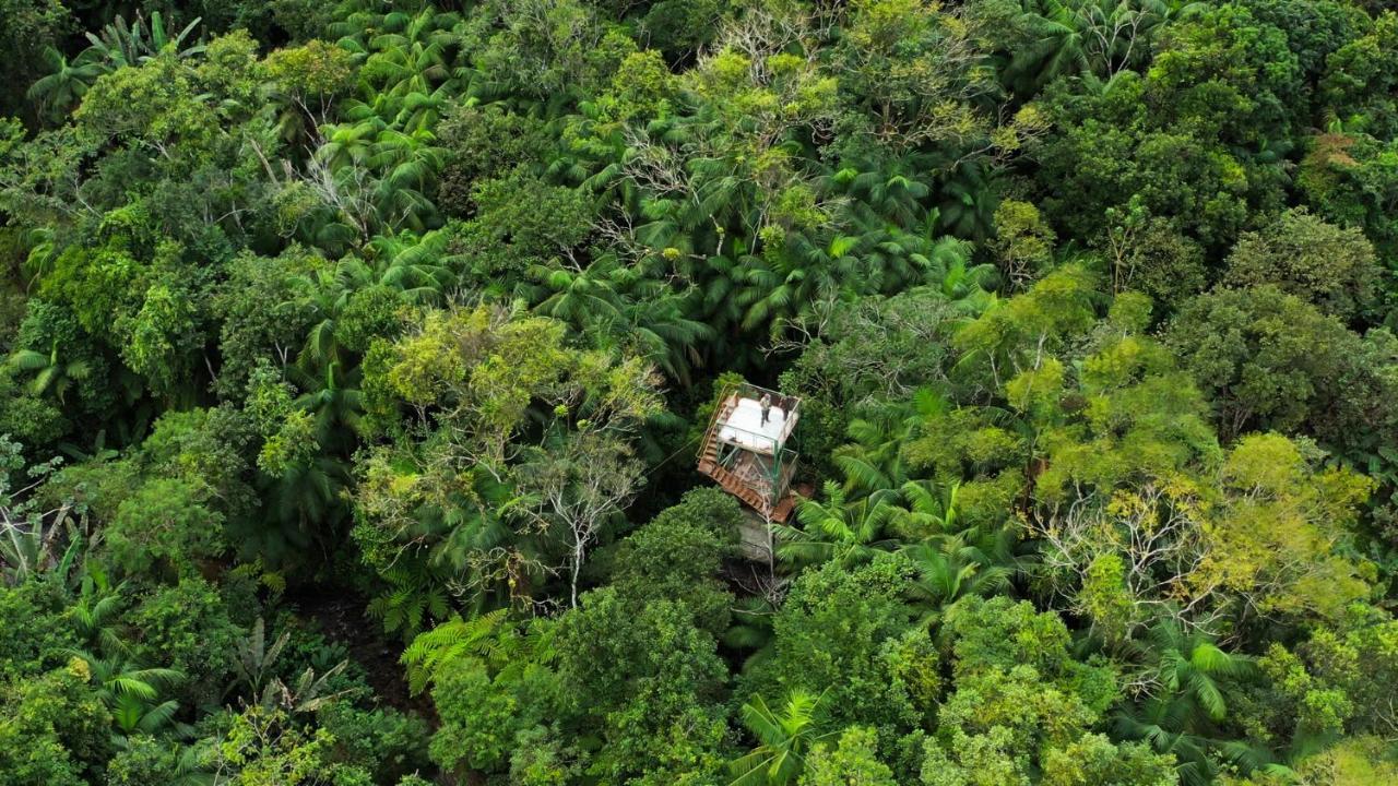 Pousada Salve Floresta Tapirai Ngoại thất bức ảnh