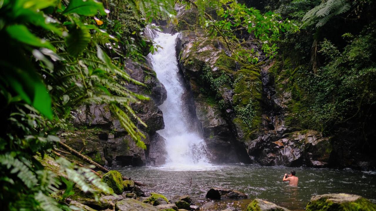 Pousada Salve Floresta Hotel Tapirai Ngoại thất bức ảnh