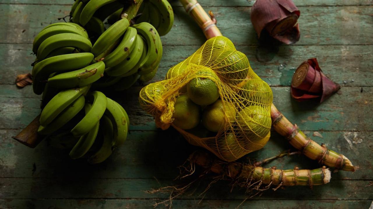 Pousada Salve Floresta Tapirai Ngoại thất bức ảnh