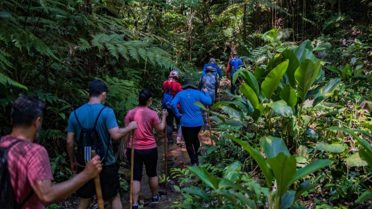 Pousada Salve Floresta Tapirai Ngoại thất bức ảnh