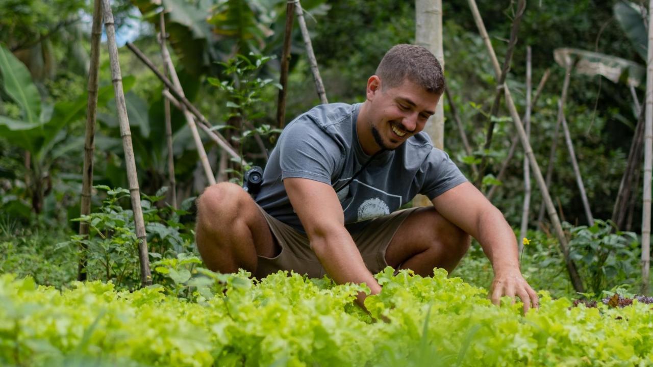 Pousada Salve Floresta Tapirai Ngoại thất bức ảnh